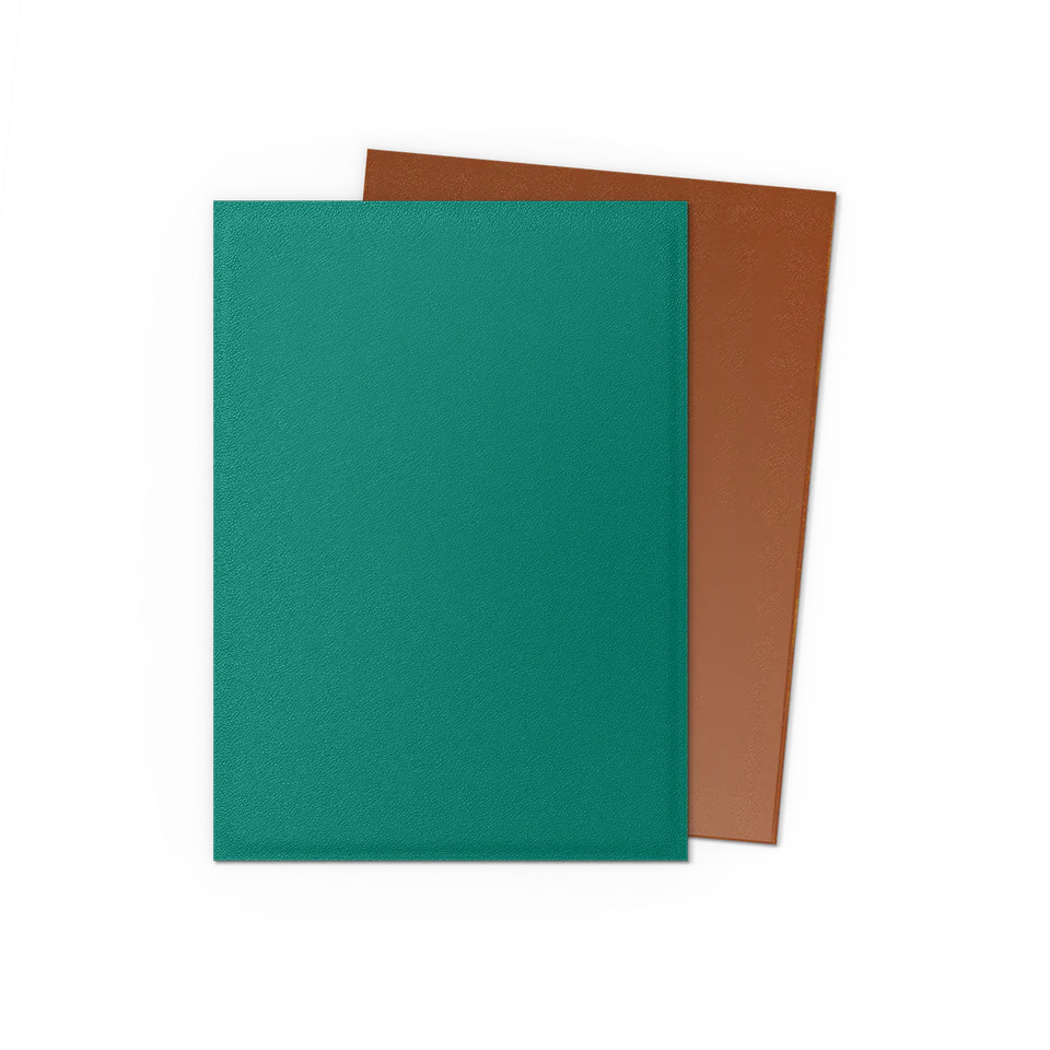 Dragon Shield Dual Matte (Color Options)