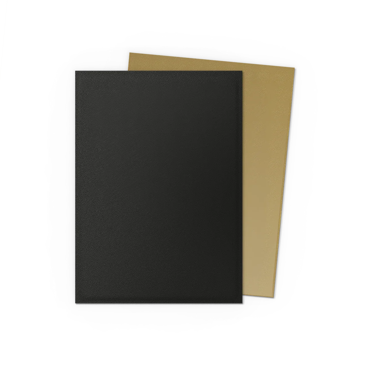 Dragon Shield Dual Matte (Color Options)