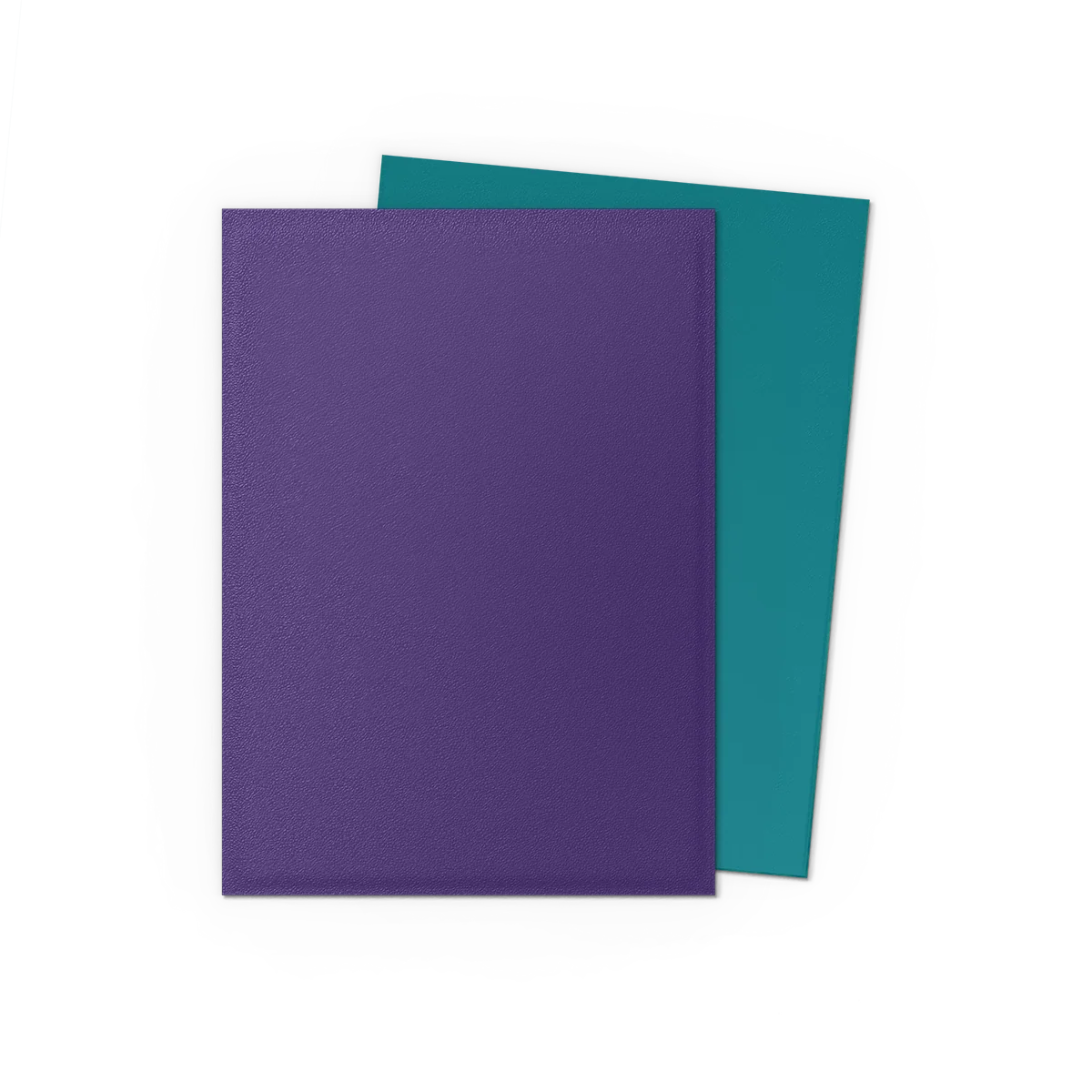 Dragon Shield Dual Matte (Color Options)