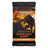Magic the Gathering MTG Booster Pack (Set Options)